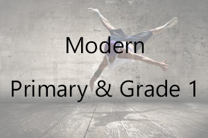 AIM Modern - Primary & Grade 1 Uniform
