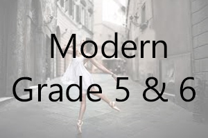 AIM Modern - Grade 5 & 6 Uniform