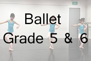 AIM Ballet Grade 5 & 6