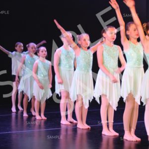 AIM For The Stars Photo Collection Photo 19