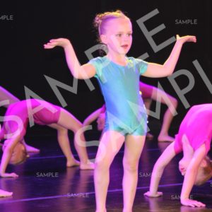 AIM For The Stars Photo Collection Photo 38