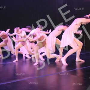 AIM For The Stars Photo Collection Photo 53