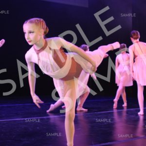 AIM For The Stars Photo Collection Photo 36