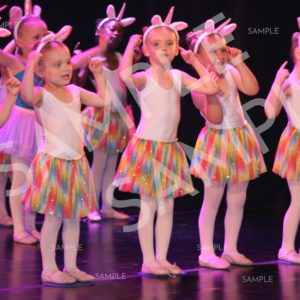 AIM For The Stars Photo Collection Photo 26