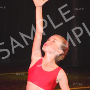 AIM For The Stars Photo Collection Photo 46