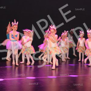 AIM For The Stars Photo Collection Photo 55