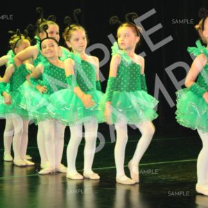 AIM For The Stars Photo Collection Photo 58