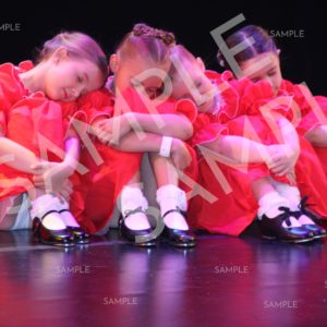 AIM For The Stars Photo Collection Photo 63