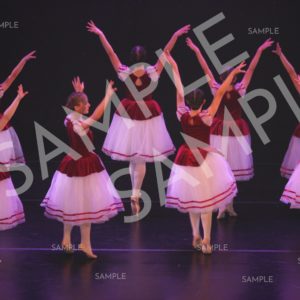 AIM For The Stars Photo Collection Photo 71