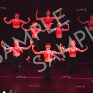 AIM For The Stars Photo Collection Photo 2