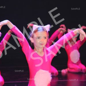 AIM For The Stars Photo Collection Photo 105