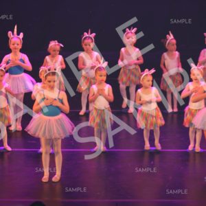 AIM For The Stars Photo Collection Photo 122