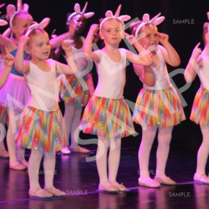 AIM For The Stars Photo Collection Photo 125