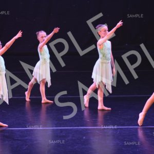 AIM For The Stars Photo Collection Photo 148