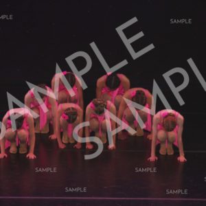 AIM For The Stars Photo Collection Photo 154