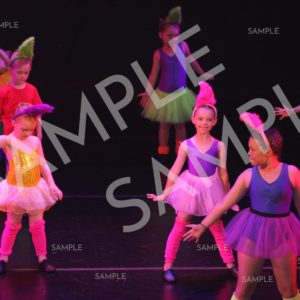 AIM For The Stars Photo Collection Photo 191