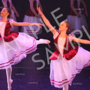 AIM For The Stars Photo Collection Photo 12