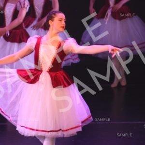 AIM For The Stars Photo Collection Photo 13