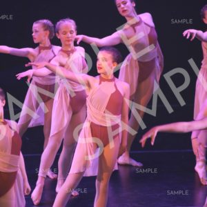 AIM For The Stars Photo Collection Photo 17