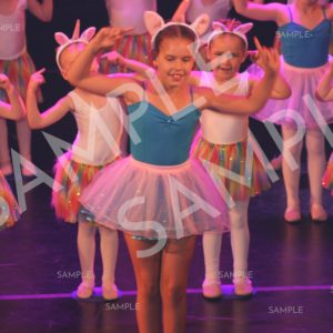 AIM For The Stars Photo Collection Photo 18